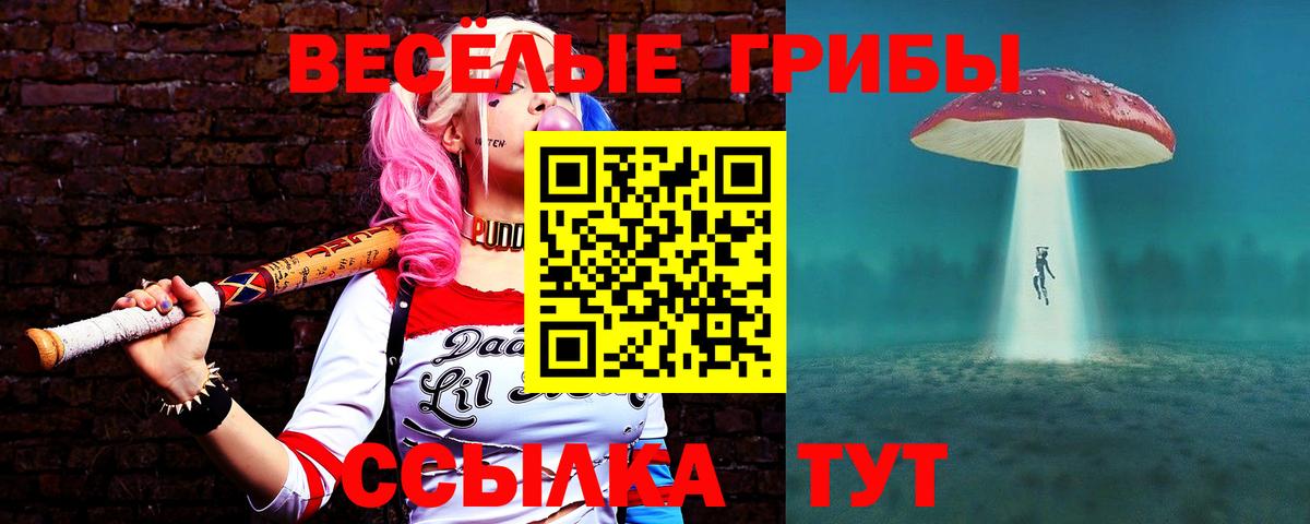 Нефтекумск  Псилоцибиновые грибы Cubensis  Галлюциногенные грибы ЛСД  Вход с VPN 